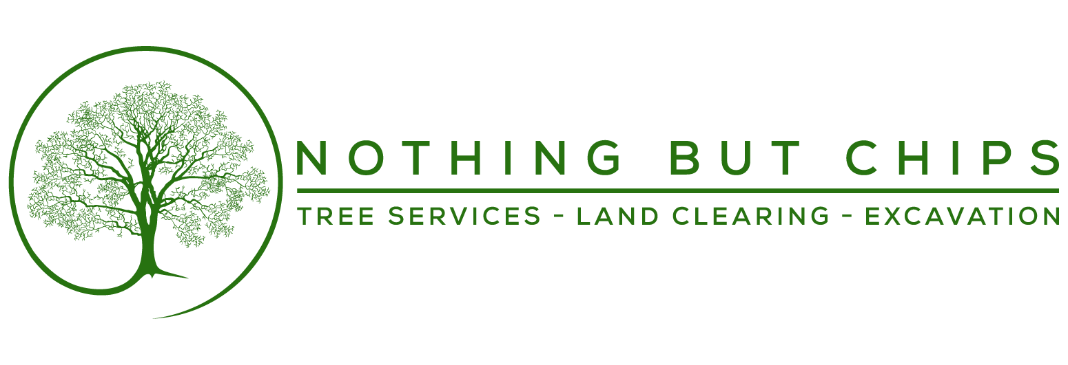 Nothing But Chips_logo