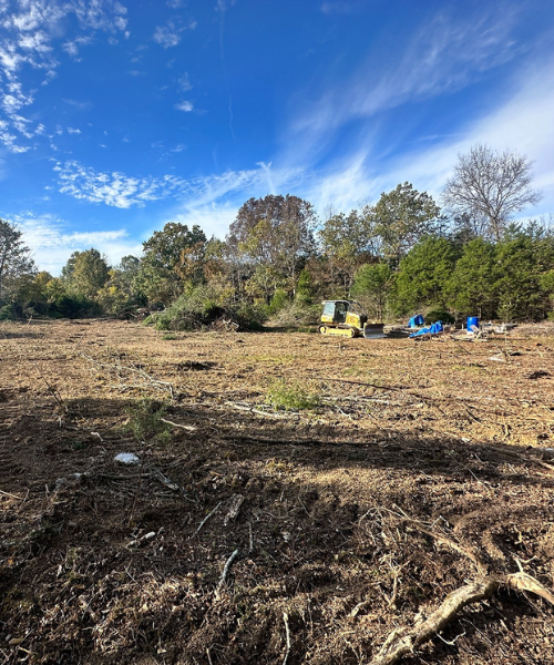 lot-clearing5; land clearing in Columbia; land clearing in Spring Hill; lot clearing