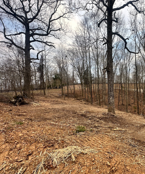 lot-clearing7; forestry mulching in Spring Hill; forestry mulching in Columbia, Tennessee; forestry mulching in Brentwood; forestry mulching in Thompson's Station