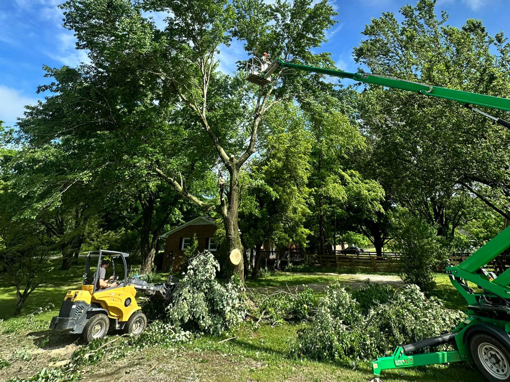 NothingButChips_HomeGallery1